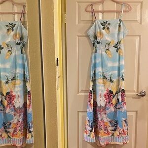 NWOT Sunday Floral Maxi Dress, Size L